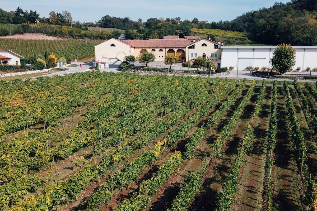 Cavazza Vini, azienda agricola