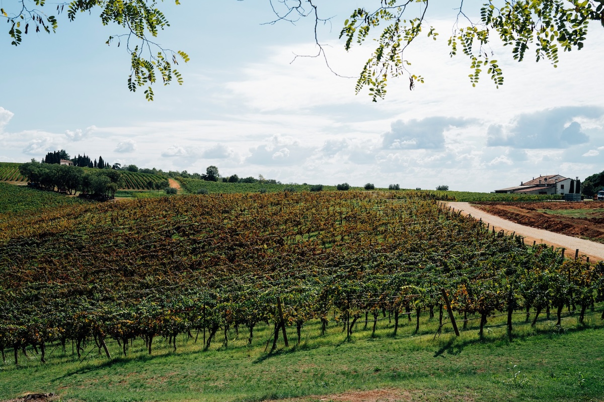 Tenuta La Cicogna