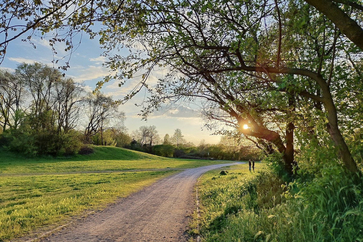 agosto milano 2024, cosa fare parco nord