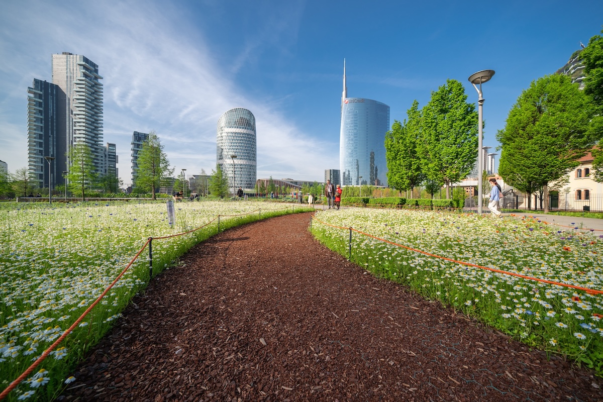 bam biblioteca degli alberi milano