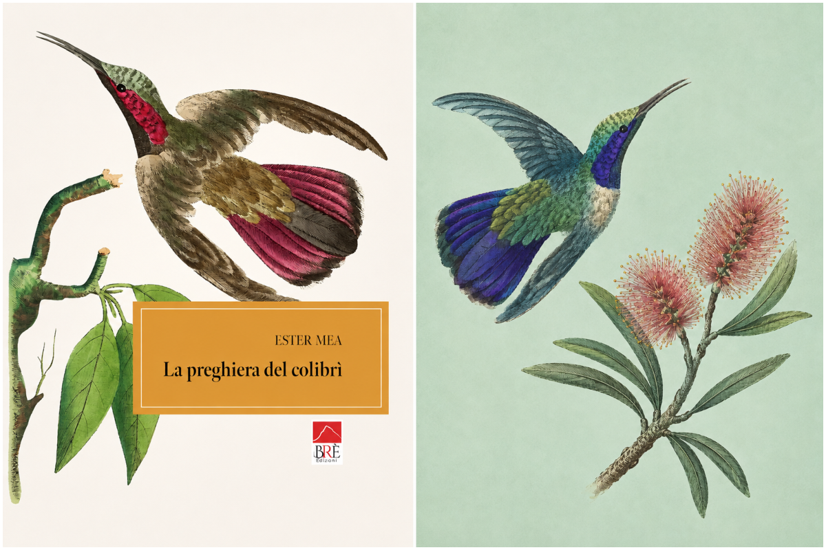 libri estate 2026, la preghiera del colibri?