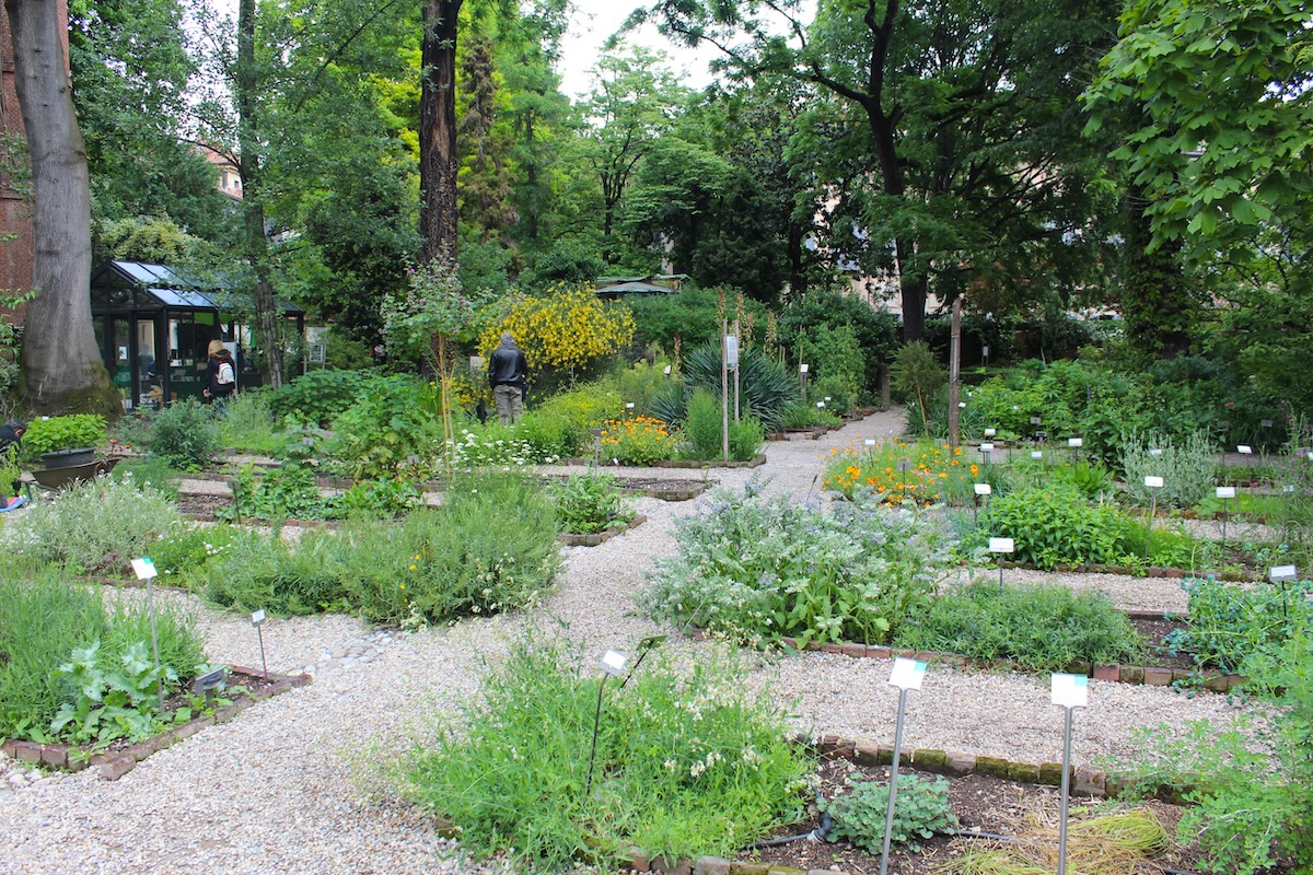 milano del silenzio, OBB-Scorcio primaverile-IMG_9756 (Archivio Orto Botanico di Brera)