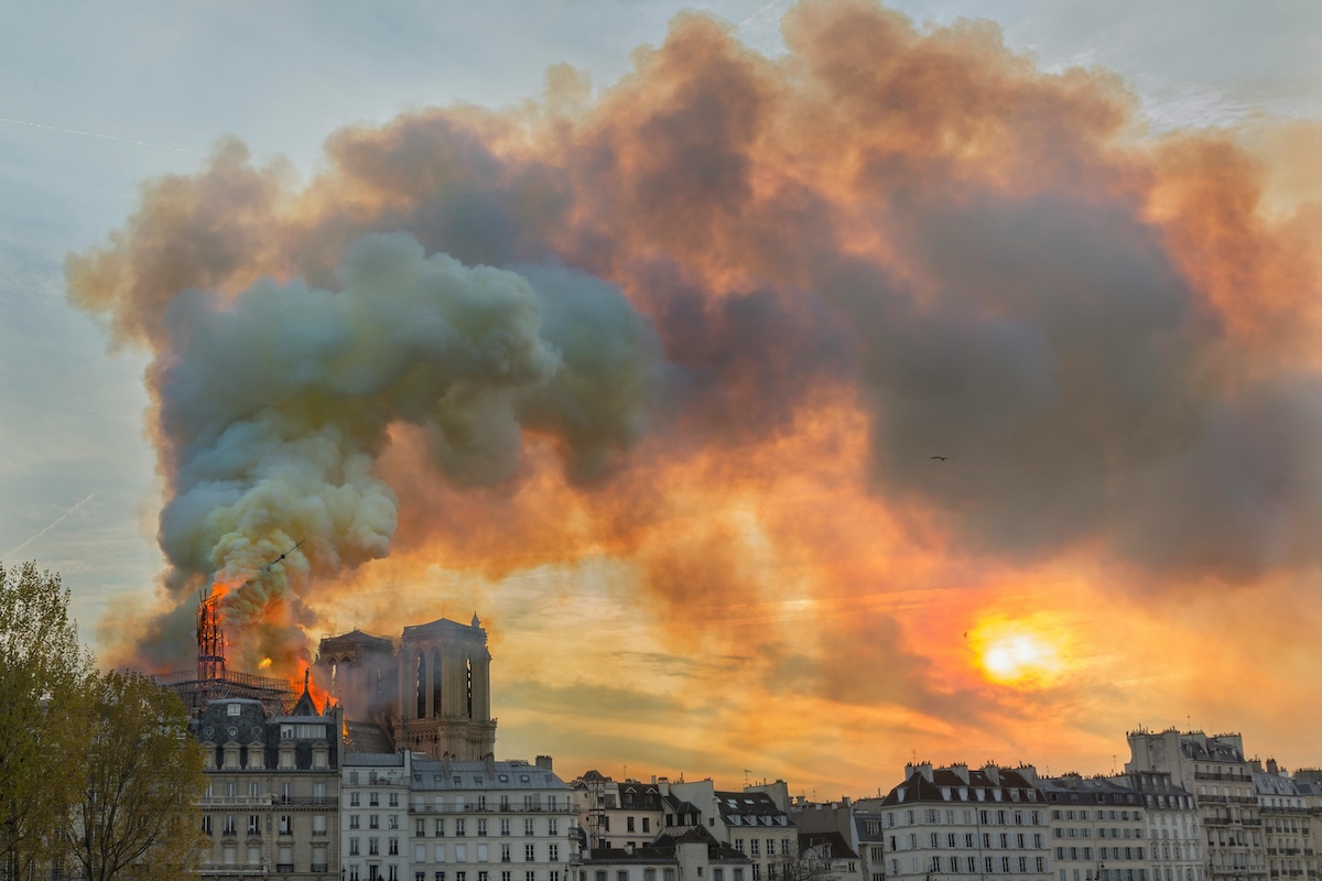 riapertura notre dame, foto di david henry via pexels